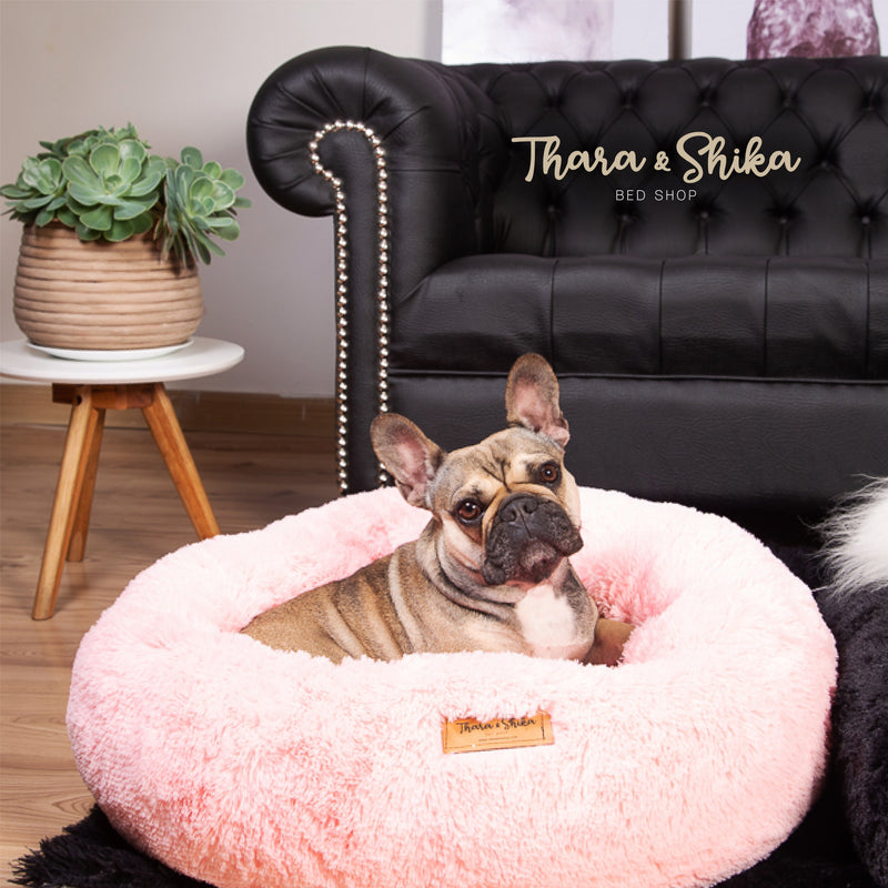 🐾 Cama Redonda Antiestrés + REGALO 🎁  🐾  ➡️ ESTÁNDAR ⬅️ 🐾 100% LAVABLE  🇨🇱 ENVÍO GRATIS 🇨🇱