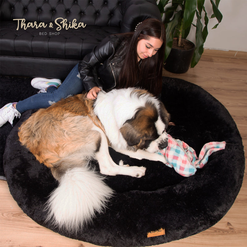 🐾 Cama Redonda Antiestrés + REGALO 🎁  🐾  ➡️ ESTÁNDAR ⬅️ 🐾 100% LAVABLE  🇨🇱 ENVÍO GRATIS 🇨🇱